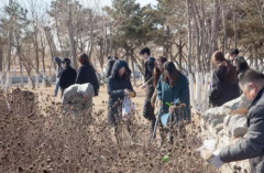  “大爱新区·微爱圆梦——互联网+学雷锋志愿服务同城行动”环保行动日活动