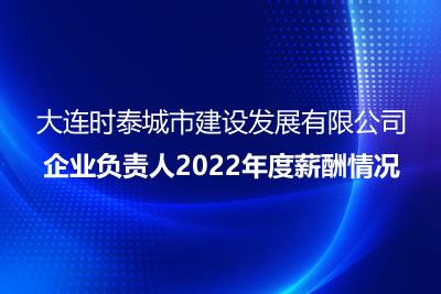 大连时泰城市建设发展有限公司 企业负责人2022年度薪酬情况