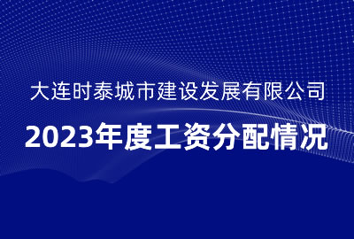 大连时泰城市建设发展有限公司2023年度工资分配情况