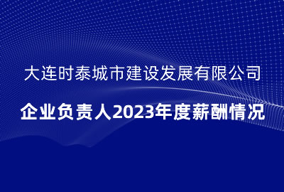 大连时泰城市建设发展有限公司 企业负责人2023年度薪酬情况