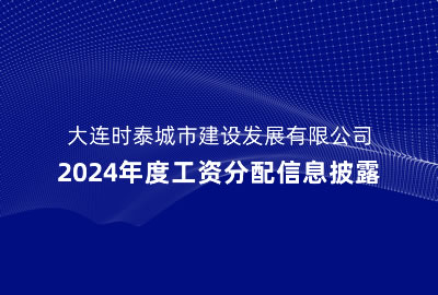 大连时泰城市建设发展有限公司2024年度工资分配和企业负责人薪酬披露